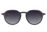 SUNGLASSES - OCCL4629