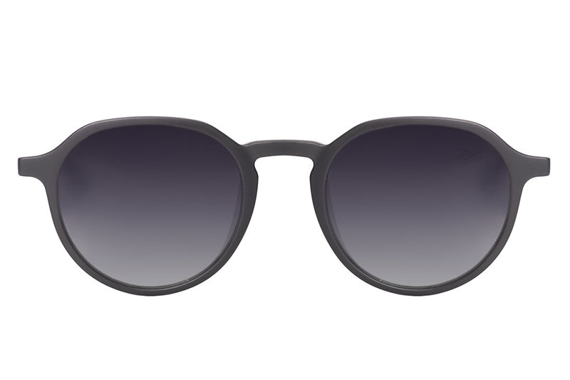 SUNGLASSES - OCCL4629