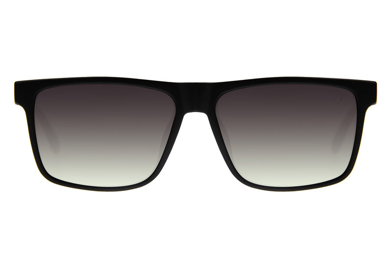 SUNGLASSES - OCCL4381