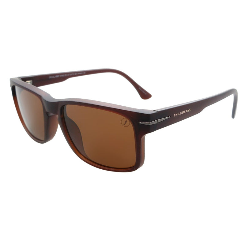 SUNGLASSES - OCCL4967