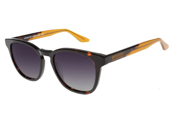 SUNGLASSES - OCCL4609