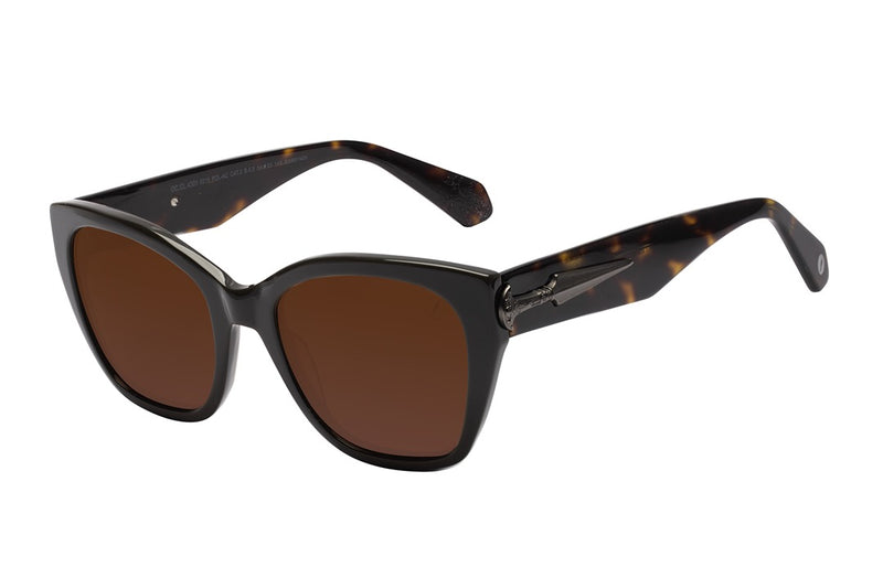 SUNGLASSES - OCCL4301