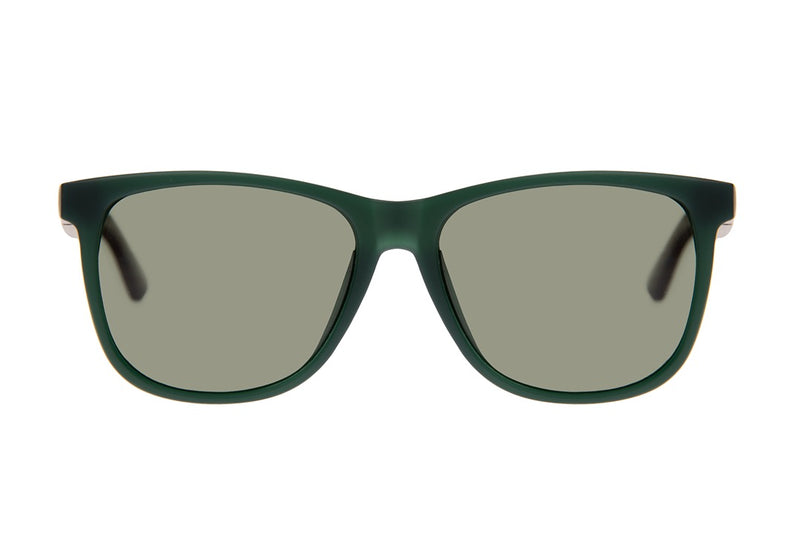 SUNGLASSES - OCCL4109