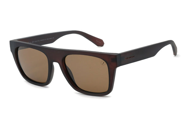 SUNGLASSES - OCCL4847