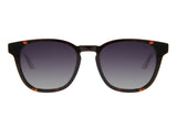 SUNGLASSES - OCCL4609