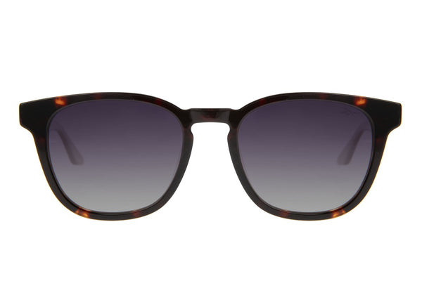 SUNGLASSES - OCCL4609