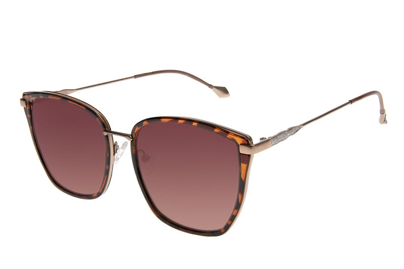 SUNGLASSES - OCCL4625