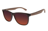 SUNGLASSES - OCCL4109