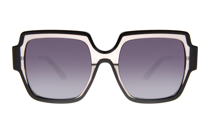 SUNGLASSES - OCCL4270