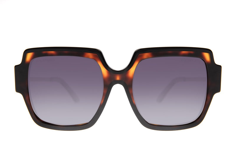 SUNGLASSES - OCCL4270