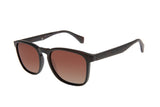 SUNGLASSES - OCCL4665