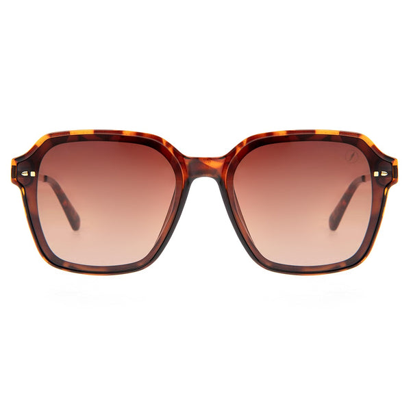 SUNGLASSES - OCCL4574