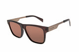 SUNGLASSES - OCCL4268