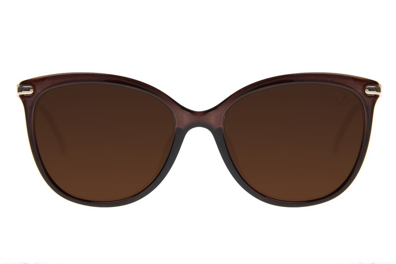 SUNGLASSES - OCCL4110