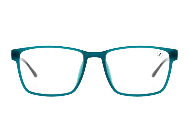 OPTICAL GLASSES - LVIJ0356