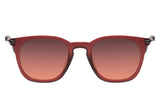 SUNGLASSES - OCCL3972