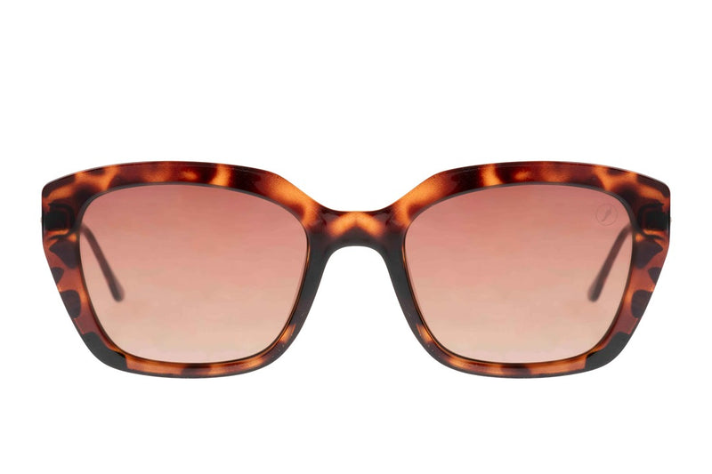 SUNGLASSES - OCCL4677