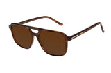 SUNGLASSES - OCCL4321