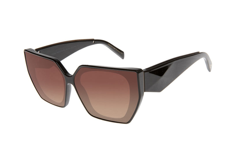 SUNGLASSES - OCCL4666