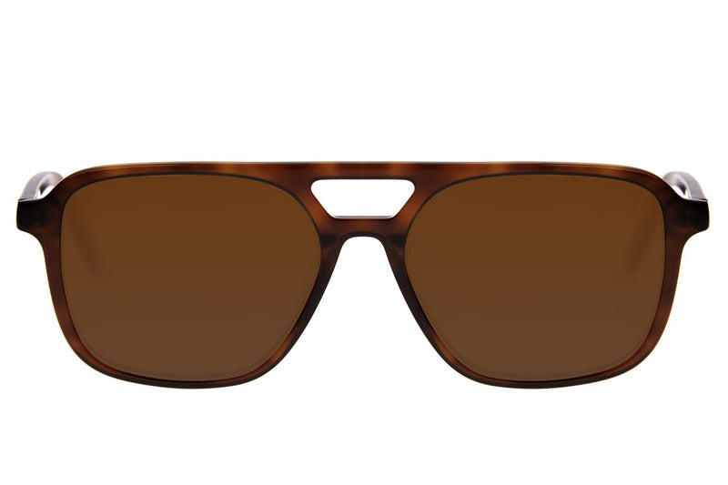 SUNGLASSES - OCCL4321