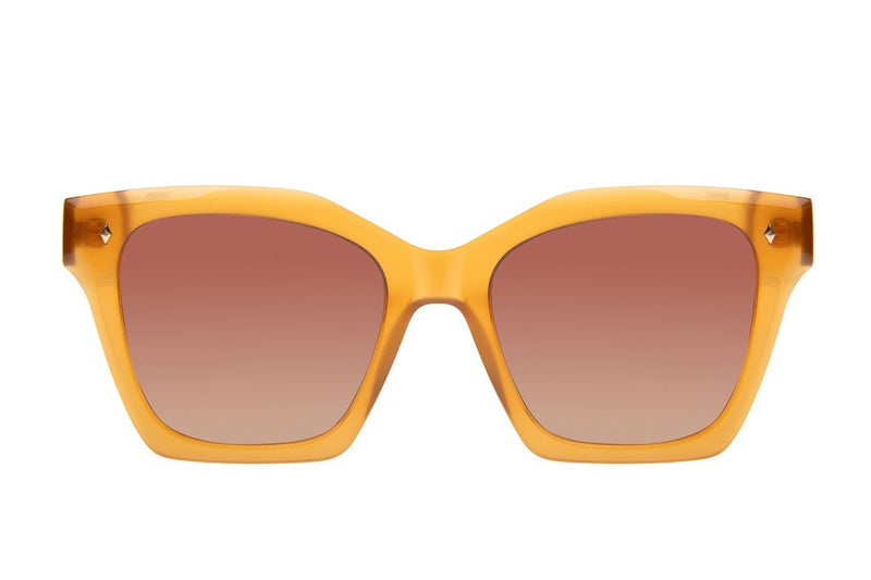 SUNGLASSES - OCCL4567