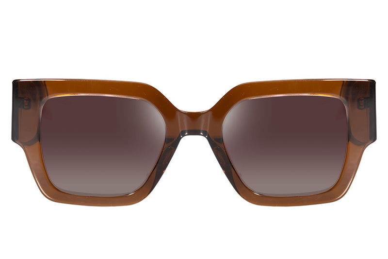 SUNGLASSES - OCCL4607