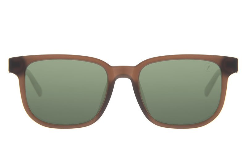 SUNGLASSES - OCCL4659