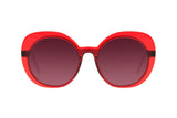 SUNGLASSES - OCCL3735