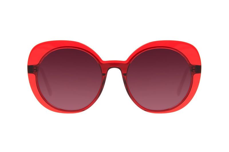 SUNGLASSES - OCCL3735