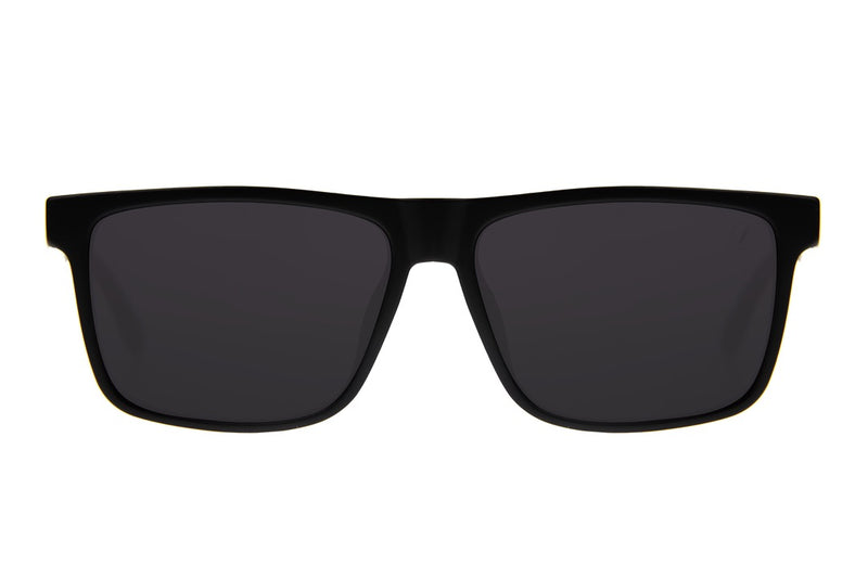 SUNGLASSES - OCCL4381