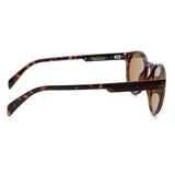 SUNGLASSES - OCCL4953