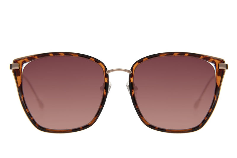 SUNGLASSES - OCCL4625