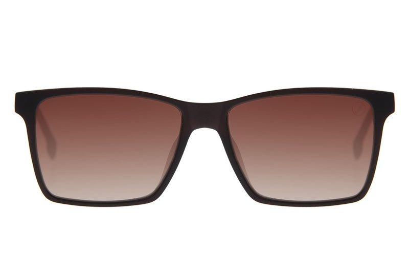 SUNGLASSES - OCCL4551