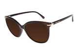 SUNGLASSES - OCCL4110