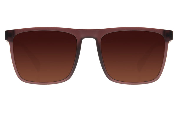 SUNGLASSES - OCCL3325