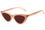 SUNGLASSES - OCCL3825